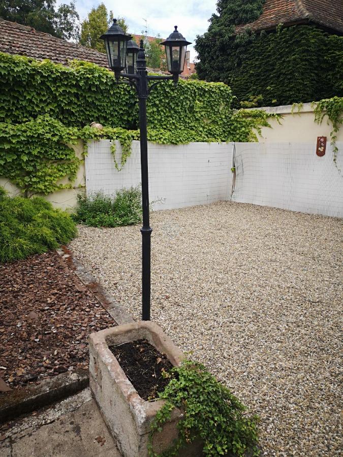 Appart 4 Pers Design Et Cosy Avec Jardin Au Coeur De Sélestat Exterior foto